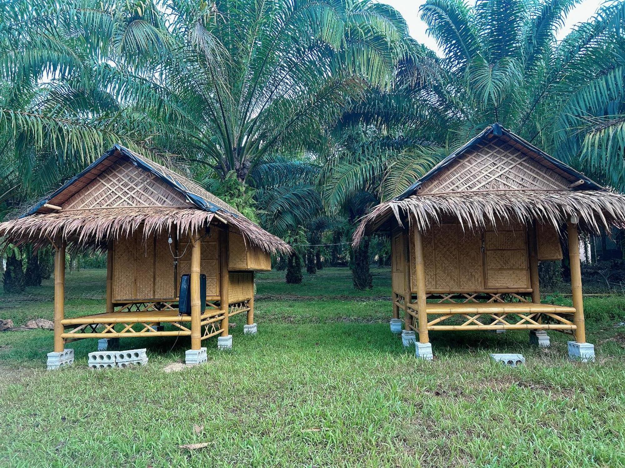 Khaosok August Freedom Camp 营地