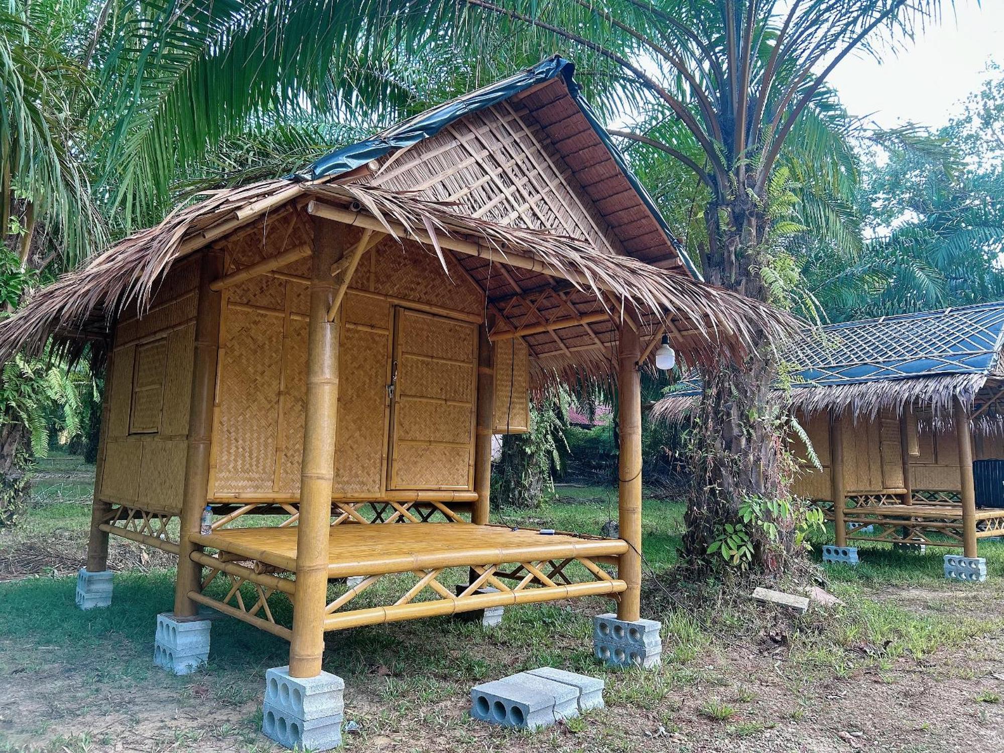 Khaosok August Freedom Camp