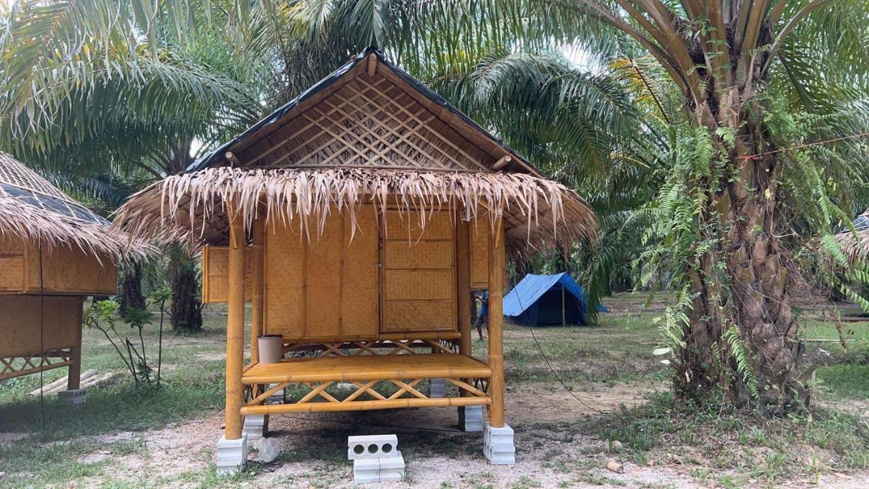 Khaosok August Freedom Camp 营地