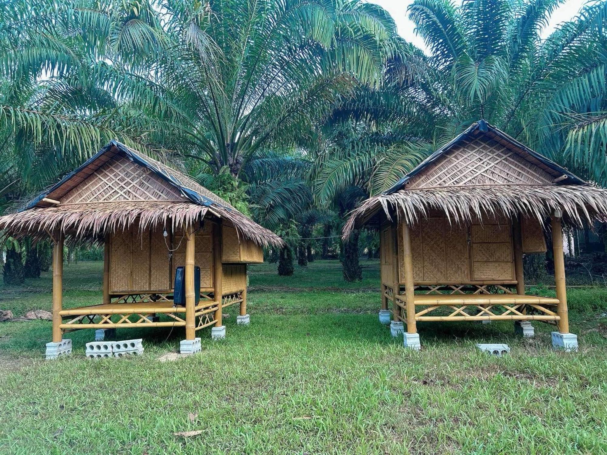 Khaosok August Freedom Camp 营地