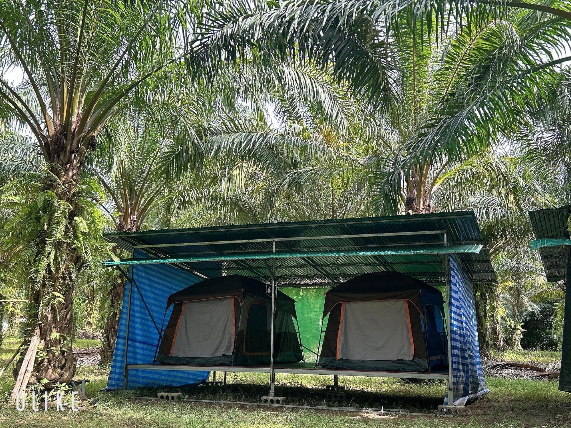 Khaosok August Freedom Camp 营地 Khao Sok National Park