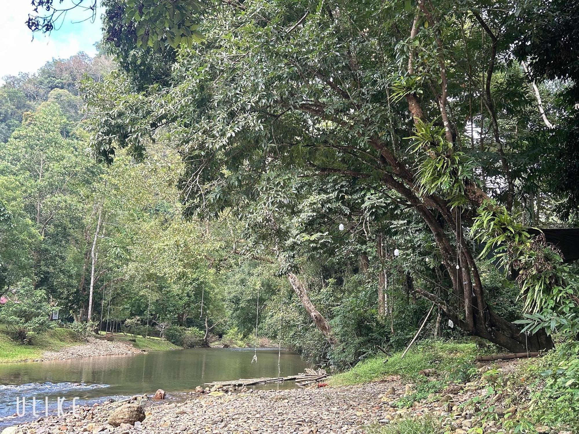 营地 Khaosok August Freedom Camp